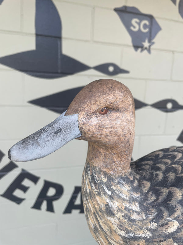IRD CORK STEVE SUTTON MALLARD HEN